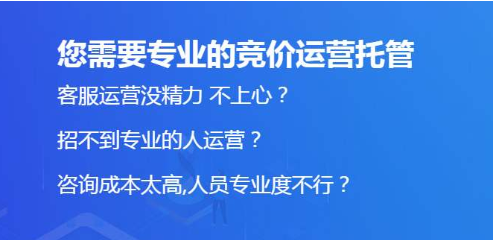 竞价托管这种服务一般适合什么样的用户